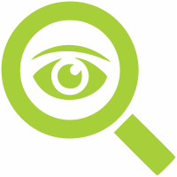 Audit Execution image